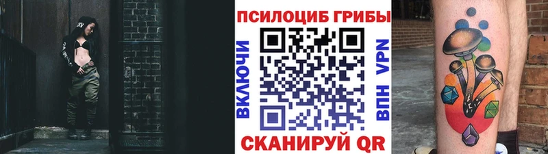 Псилоцибиновые грибы ЛСД  Купить закладки  Томилино 